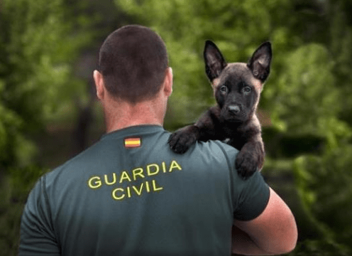Resultados examen Guardia Civil 2021