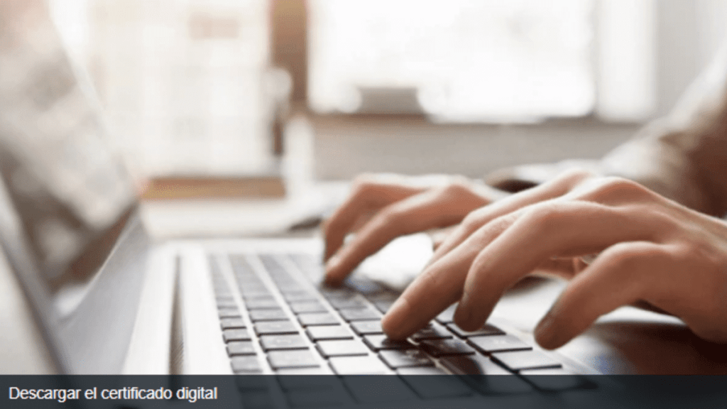 Cómo obtener el certificado digital paso a paso